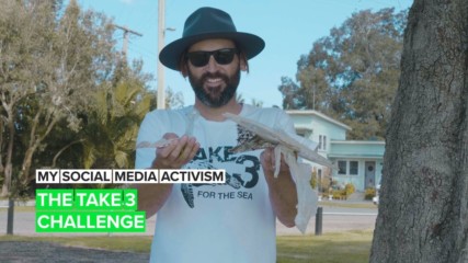My Social Media Activism: The movement that keeps plastic out of the ocean