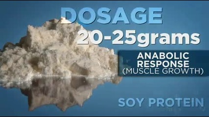 Soy Protein Guide - Bodybuilding.com 
