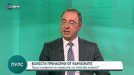 Кои са болестите, които могат да ни причинят кърлежите