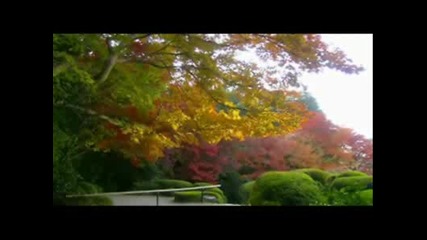 Красивата Есен 