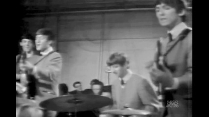 The Beatles - She Loves You