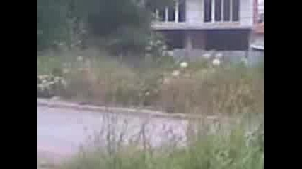 жестоко падане в храстите 2 