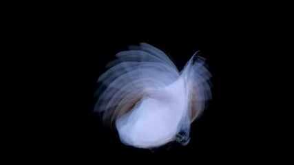 Kira Kira - Welcome High Frequency Spirits United