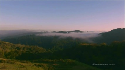 Wonderful Chill Out Music - Amazing Forest Hd