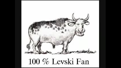 Специялен поздрав за Левски 