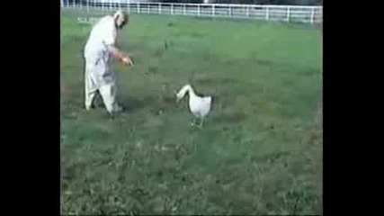 Забавни Животни (част 1)