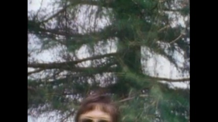 The Turtles - Happy Together ( Original Clip ) Hq