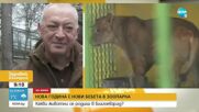Два малки козирога се родиха в зоопарка в Благоевград