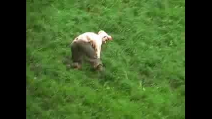 tova sigorno mn boli