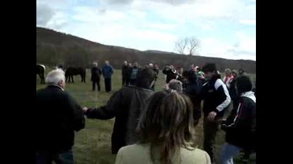 Тудоров Ден В Бели Мел 5