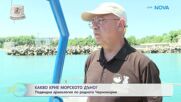 Какво крие морското дъно? Подводна археология по родното Черноморие | На кафе | 13 юли 2026
