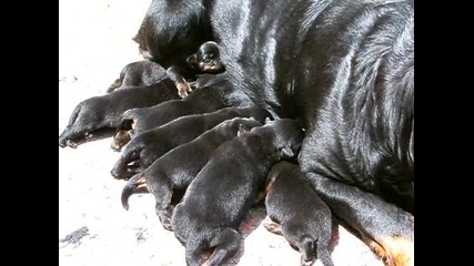 Dscf4901