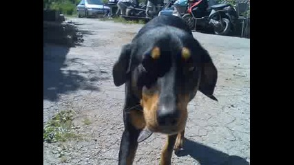 Iako Klip4e