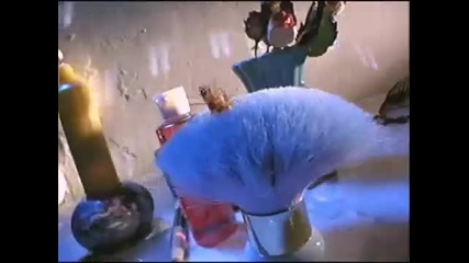 We Will Survive (the Cockroach Song)