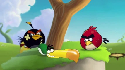 Angry Birds - Летен пикник