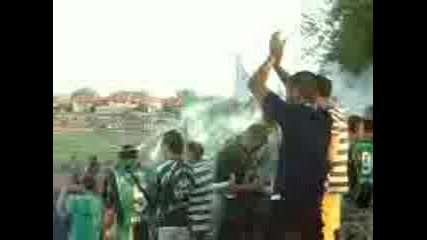 green hools