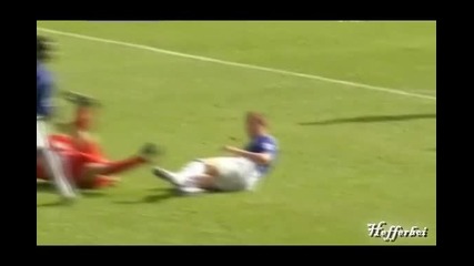 Fernando Torres new