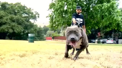 Dj Quik - Blueline Family Runnin’ Thangs (feat. Terrace Martin) New 2009 ** Високо Качество **