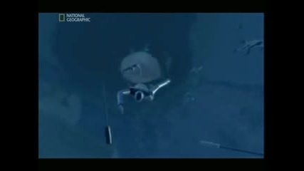 Голям, по - голям, най - голям: Туристически кораб - 4 част
