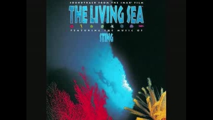 Sting - Cool Breeze