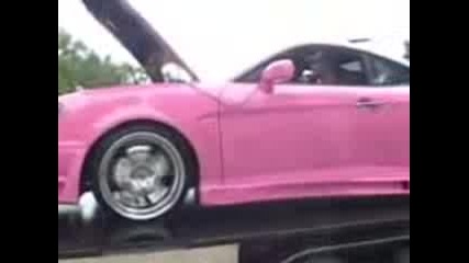 Pink Tuscani Dyno
