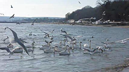 Varna - Black Sea Coast today 028