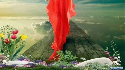 Srebrna Krila-pono