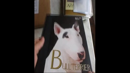 Bullterrier book Unboxing 3 [bookdepository.co.uk]