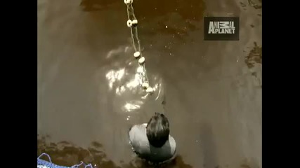 River Monsters - Fish Attack