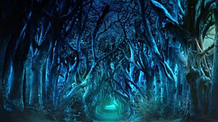 Celtic Fantasy Music Night Forest 1 hour of celtic fairy music