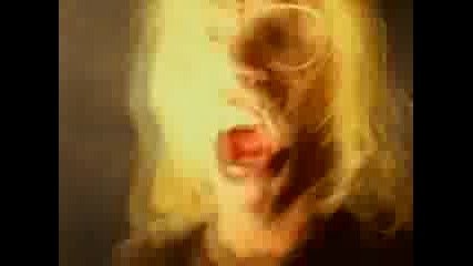 Wierd All - Smells Like Nirvana