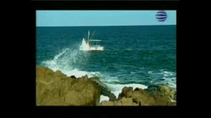 тони дачева - топъл дъжд.flv