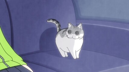 【 Bg Sub 】 Yoru wa Neko to Issho 16