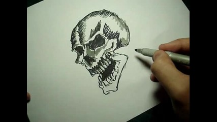 Speed Drawing Skull