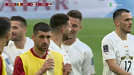 И Александър Митрович се разписа срещу Камерун