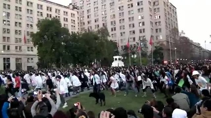 Направо лудница ! - Заслужава си да гледате ! :)
