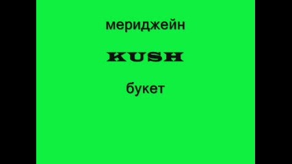 Tmarinsky - Freestyle Kush