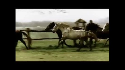 Crvena Jabuka & Zeljko Bebek - Kletva