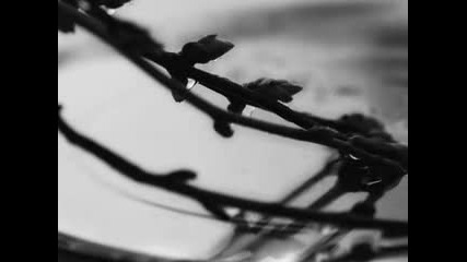 Tom Waits - November 