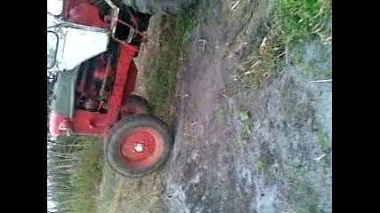 selo luben 