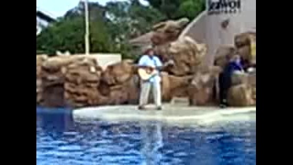 H2o - Морският Парк Sea World