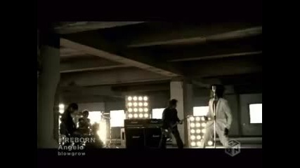 Angelo - Reborn [ pv ]
