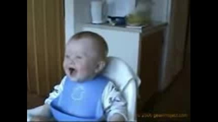 Funny Babies 