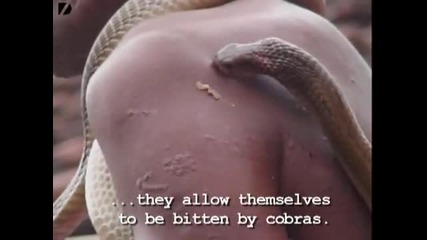 Взаимоотношенията между индийците и змиите .