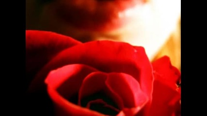 Lara Fabian - tango