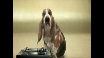 Куче прави неземен Beatbox :d Луд смях :dd 