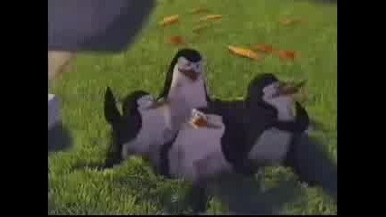 Пингвините От Мадагаскар..много Лоши!!!! 