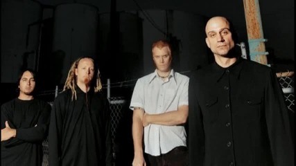 Cold - Bizarre