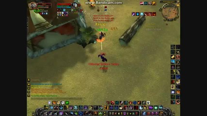 Wow Cataclysm - Marksmanship hunter pvp - Wippe