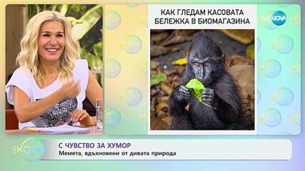 Забавни моменти, уловени сред дивата природа - „На кафе” (06.10.2023)